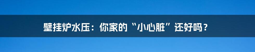 壁挂炉水压：你家的“小心脏”还好吗？