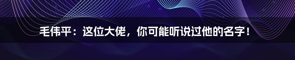 毛伟平:这位大佬,你可能听说过他的名字!