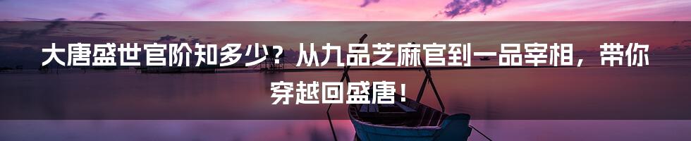 大唐盛世官阶知多少？从九品芝麻官到一品宰相，带你穿越回盛唐！