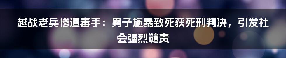 越战老兵惨遭毒手:男子施暴致死获死刑判决,引发社会强烈谴责