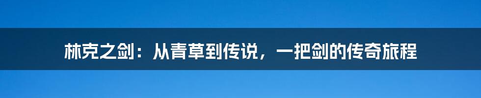 林克之剑:从青草到传说,一把剑的传奇旅程