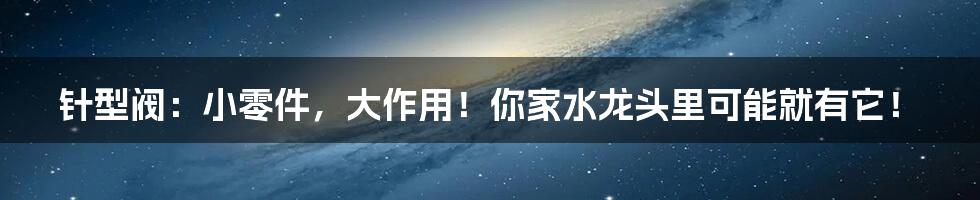 针型阀:小零件,大作用!你家水龙头里可能就有它!