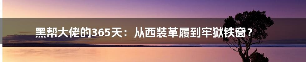 黑帮大佬的365天:从西装革履到牢狱铁窗?