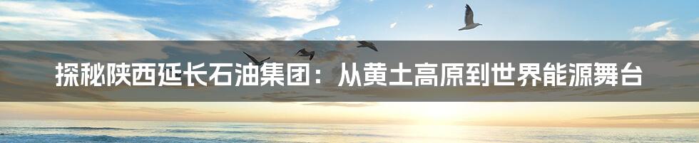 探秘陕西延长石油集团:从黄土高原到世界能源舞台