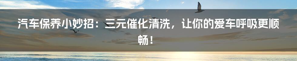 汽车保养小妙招:三元催化清洗,让你的爱车呼吸更顺畅!