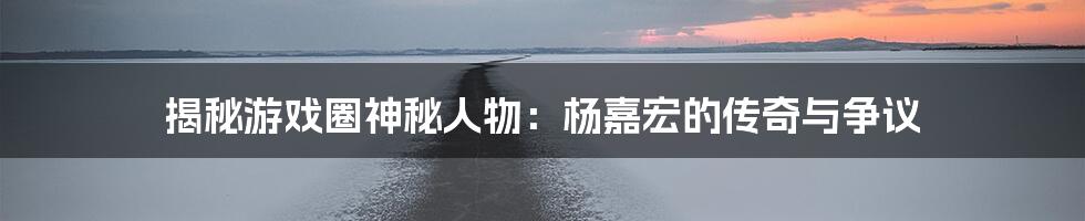 揭秘游戏圈神秘人物:杨嘉宏的传奇与争议