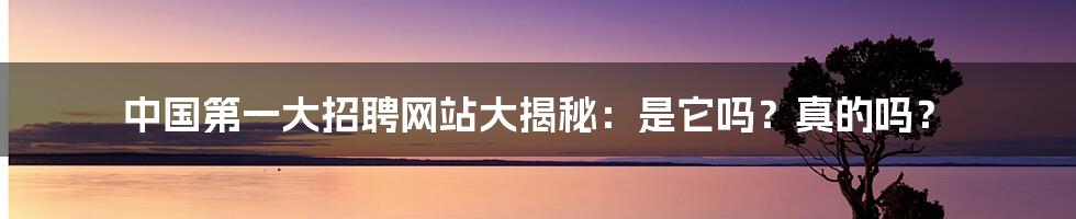 中国第一大招聘网站大揭秘:是它吗?真的吗?