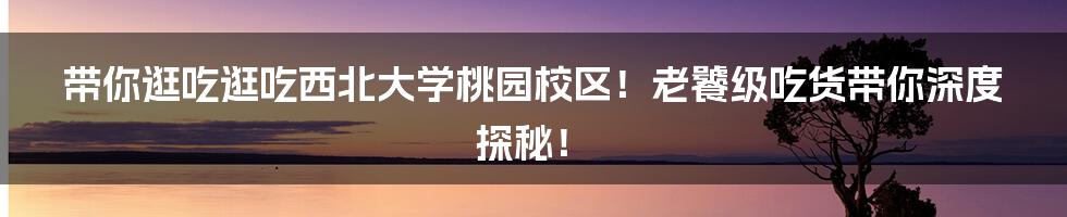 带你逛吃逛吃西北大学桃园校区!老饕级吃货带你深度探秘!