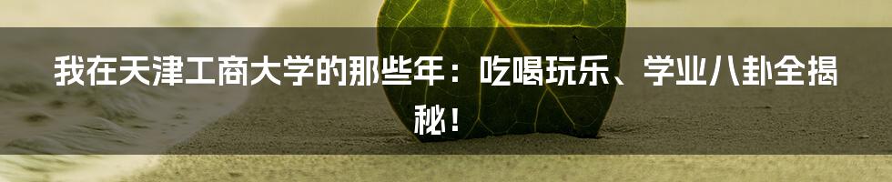 我在天津工商大学的那些年:吃喝玩乐、学业八卦全揭秘!