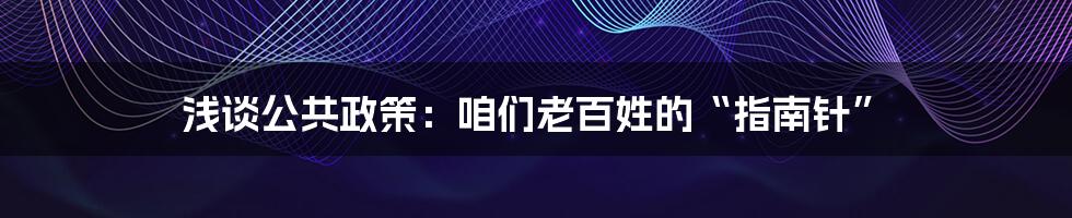 浅谈公共政策:咱们老百姓的“指南针”
