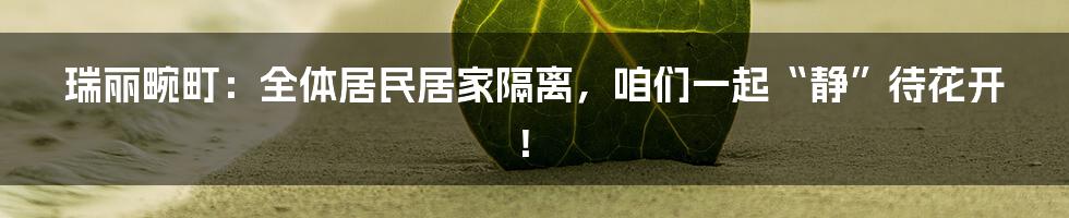 瑞丽畹町:全体居民居家隔离,咱们一起“静”待花开!