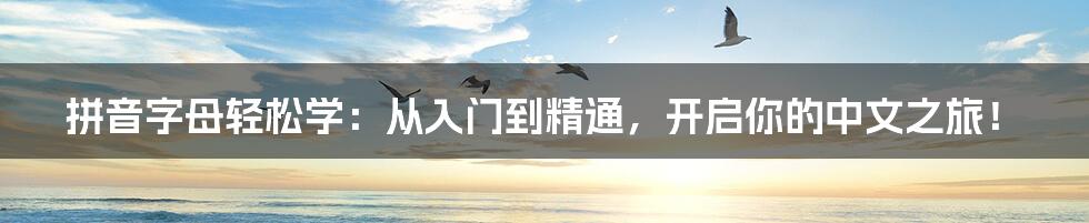 拼音字母轻松学:从入门到精通,开启你的中文之旅!