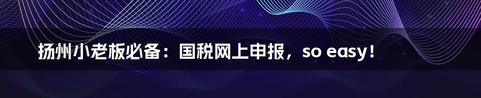 扬州小老板必备:国税网上申报,so easy!