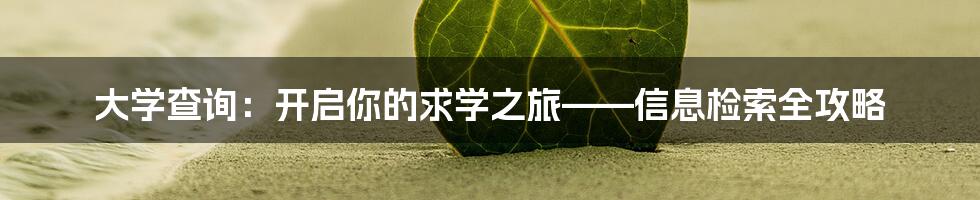 大学查询：开启你的求学之旅——信息检索全攻略