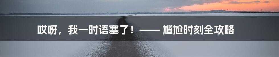 哎呀,我一时语塞了!—— 尴尬时刻全攻略