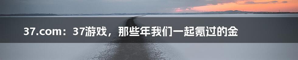 37.com:37游戏,那些年我们一起氪过的金