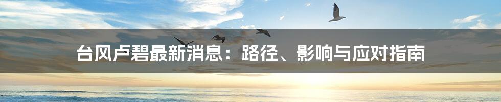 台风卢碧最新消息:路径、影响与应对指南