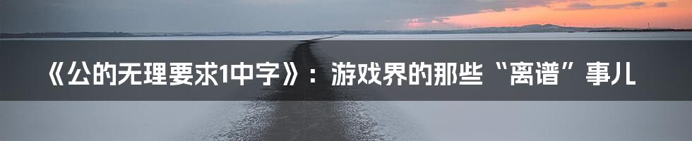 《公的无理要求1中字》:游戏界的那些“离谱”事儿