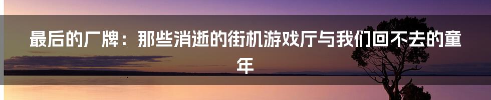 最后的厂牌:那些消逝的街机游戏厅与我们回不去的童年