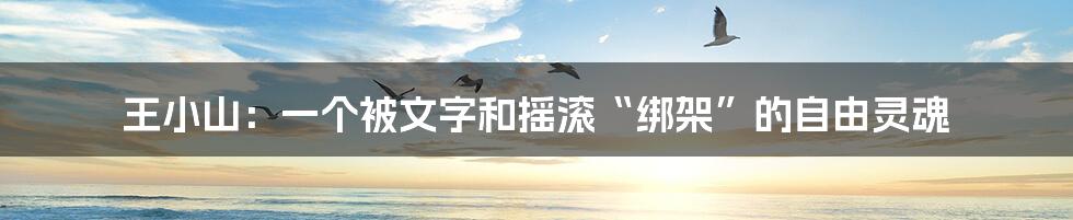 王小山:一个被文字和摇滚“绑架”的自由灵魂