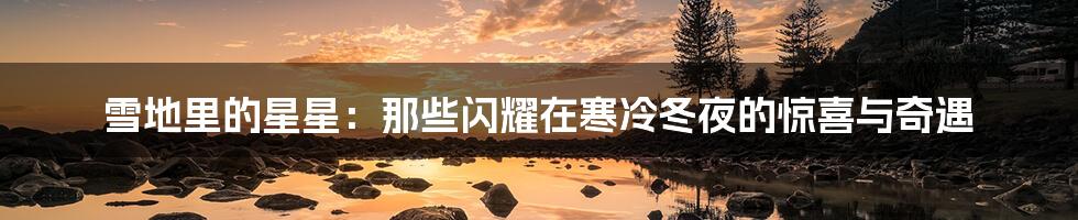 雪地里的星星:那些闪耀在寒冷冬夜的惊喜与奇遇