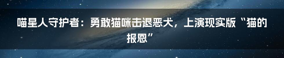 喵星人守护者：勇敢猫咪击退恶犬，上演现实版“猫的报恩”