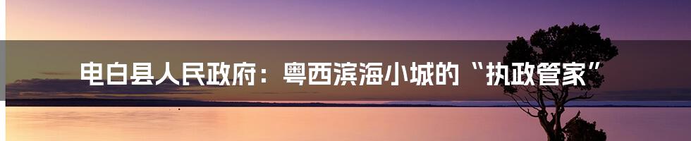 电白县人民政府:粤西滨海小城的“执政管家”