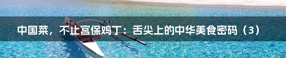中国菜,不止宫保鸡丁:舌尖上的中华美食密码(3)