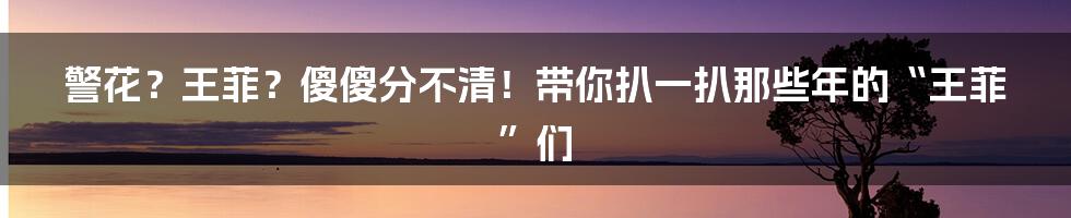警花?王菲?傻傻分不清!带你扒一扒那些年的“王菲”们