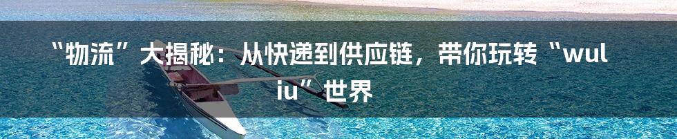 “物流”大揭秘:从快递到供应链,带你玩转“wuliu”世界