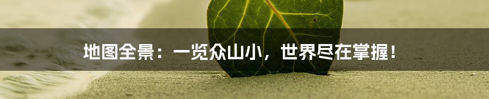 地图全景：一览众山小，世界尽在掌握！