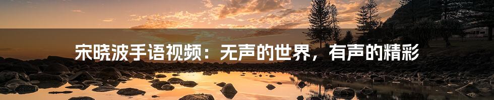 宋晓波手语视频:无声的世界,有声的精彩