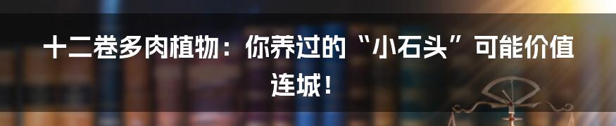 十二卷多肉植物：你养过的“小石头”可能价值连城！