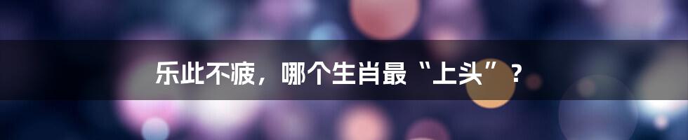 乐此不疲,哪个生肖最“上头”?