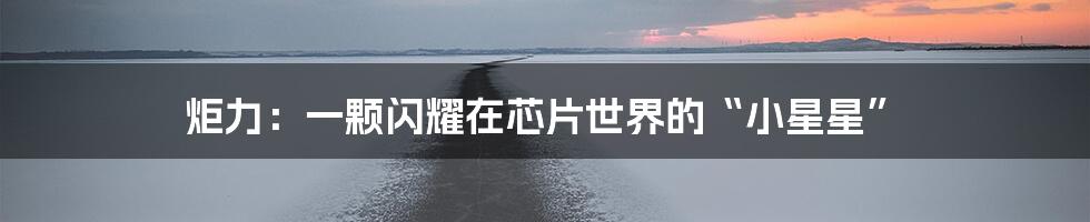 炬力：一颗闪耀在芯片世界的“小星星”