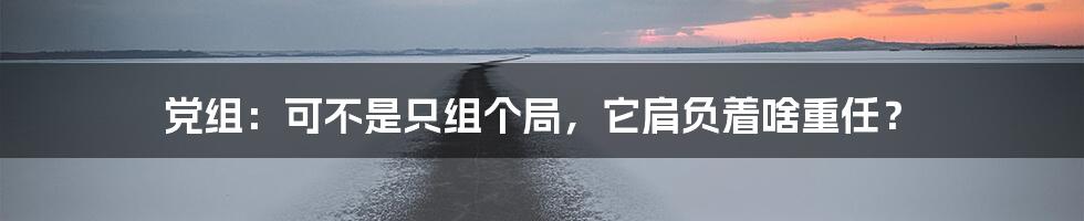 党组:可不是只组个局,它肩负着啥重任?