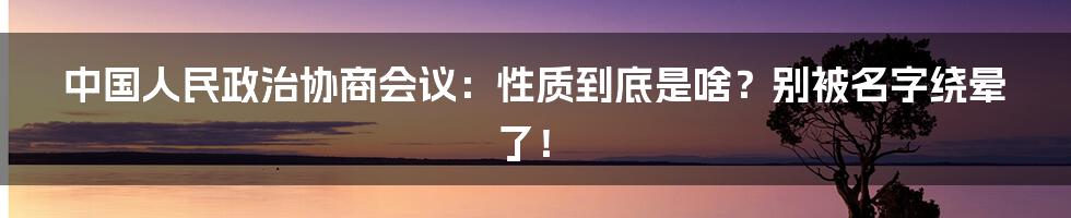 中国人民政治协商会议:性质到底是啥?别被名字绕晕了!