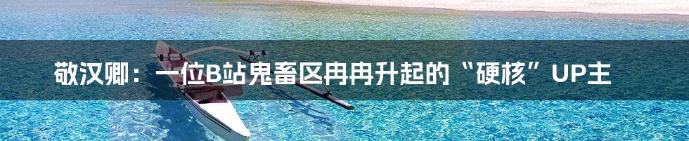 敬汉卿:一位B站鬼畜区冉冉升起的“硬核”UP主