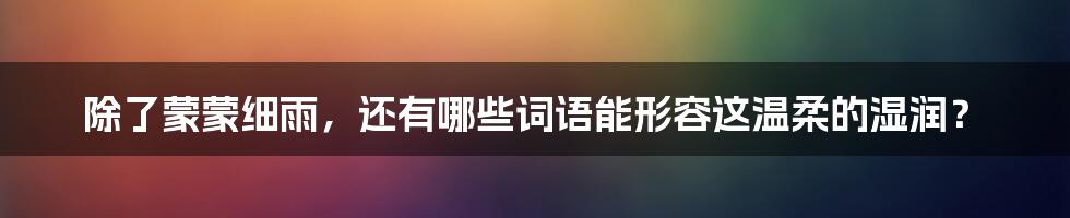 除了蒙蒙细雨,还有哪些词语能形容这温柔的湿润?