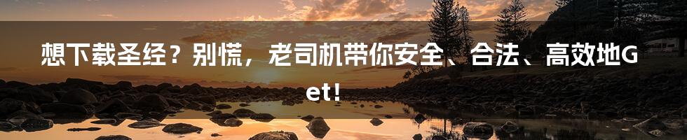 想下载圣经？别慌，老司机带你安全、合法、高效地Get！