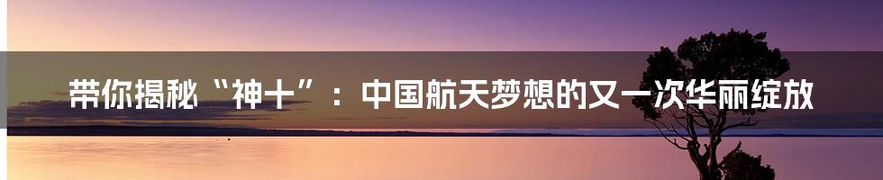 带你揭秘“神十”:中国航天梦想的又一次华丽绽放