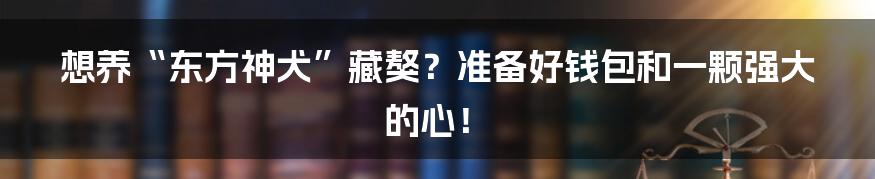 想养“东方神犬”藏獒?准备好钱包和一颗强大的心!