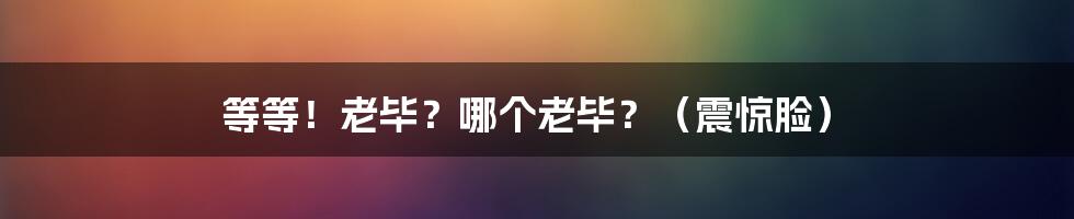 等等!老毕?哪个老毕?(震惊脸)