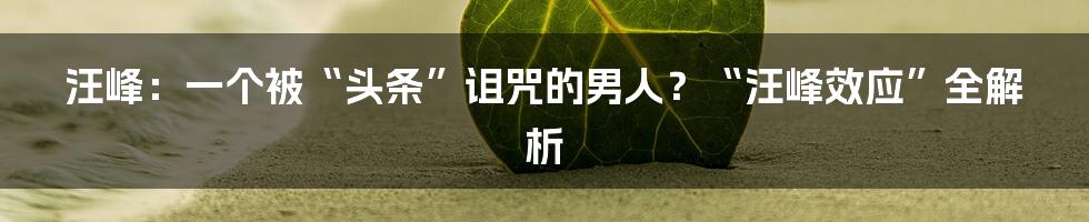 汪峰：一个被“头条”诅咒的男人？“汪峰效应”全解析