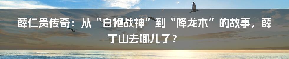 薛仁贵传奇:从“白袍战神”到“降龙木”的故事,薛丁山去哪儿了?