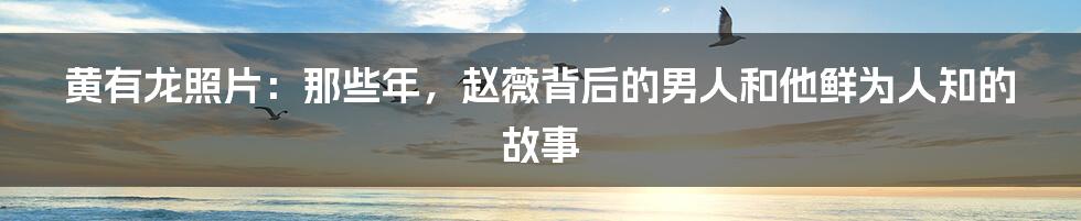 黄有龙照片:那些年,赵薇背后的男人和他鲜为人知的故事