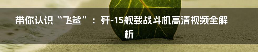 带你认识“飞鲨”:歼-15舰载战斗机高清视频全解析