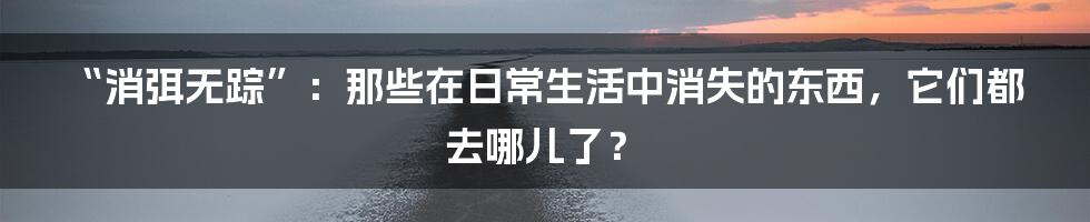 “消弭无踪”:那些在日常生活中消失的东西,它们都去哪儿了?