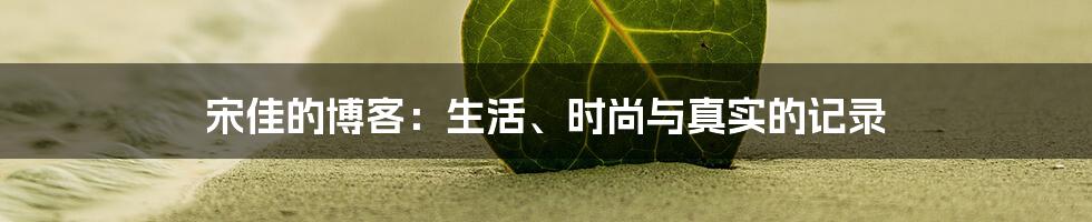 宋佳的博客:生活、时尚与真实的记录