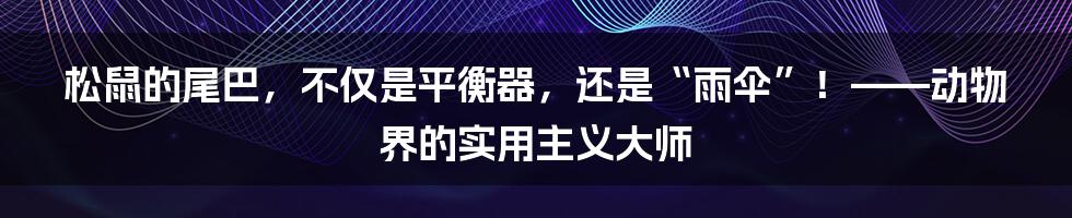 松鼠的尾巴,不仅是平衡器,还是“雨伞”!——动物界的实用主义大师